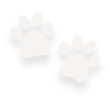 paws