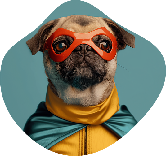 Hero Dog